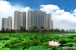 赤峰楓林臺球廳電話地址查詢