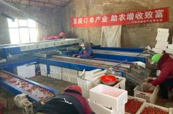 赤峰電商工作室電話號(hào)碼