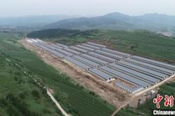 赤峰到小牛群的客車電話號碼