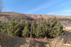 赤峰買賣松樹電話地址是多少號