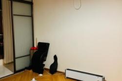 赤峰矯正體態(tài)矯正機(jī)構(gòu)電話號(hào)碼