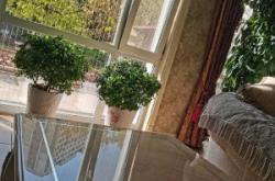 赤峰共享鞋柜電話地址是多少號(hào)