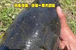 赤峰市釣黑魚(yú)地點(diǎn)電話是多少