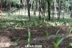 赤峰時(shí)興農(nóng)具專賣店電話號(hào)碼