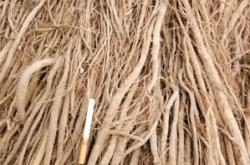 赤峰干貨收購電話號碼查詢地址