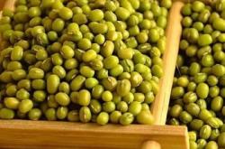 赤峰綠豆經銷商地址電話號碼