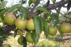 赤峰市喀喇沁旗編辦電話號碼