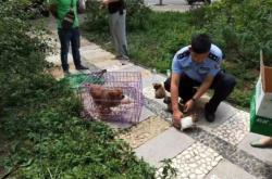 赤峰新城公安分局電話號碼