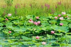 赤峰驕陽財務公司地址電話號碼