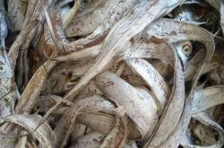 赤峰風干帶魚批發(fā)市場電話號碼