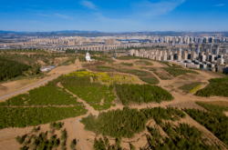 赤峰到大板方向拼車電話號碼