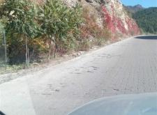 沈陽至赤峰托運(yùn)部電話號(hào)碼