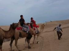 赤峰紅山萬達(dá)駱駝店電話號(hào)碼