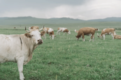 小水瓶內(nèi)蒙赤峰售后電話是多少