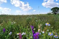 赤峰市白云花煤礦電話號(hào)碼