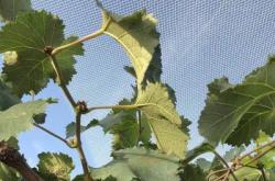 赤峰果園防雹網(wǎng)電話地址查詢