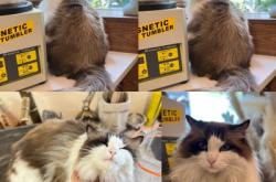 赤峰銀飾 店鋪電話號碼查詢