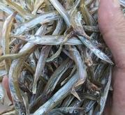 赤峰批發(fā)銀魚電話地址是多少號(hào)