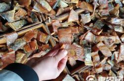 赤峰批發(fā)鯉魚電話號(hào)碼多少號(hào)