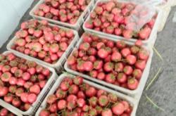 赤峰鐵皮加工廠電話地址查詢