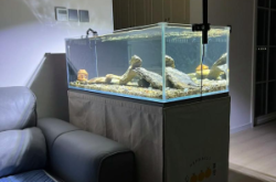 赤峰賣二手魚缸電話號(hào)碼