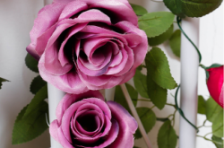 赤峰藤條裝飾公司電話號碼查詢