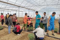 赤峰雙贏化肥廠電話號碼查詢