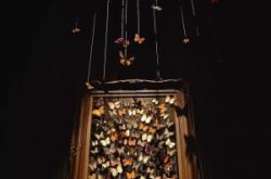 赤峰藍(lán)磨房酒吧電話多少號(hào)