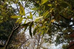 赤峰市小橘子攝影電話號碼