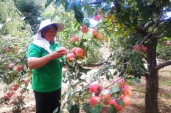 赤峰果園電話號碼多少號啊