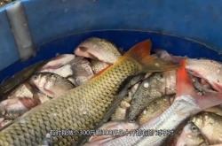 赤峰市場賣豬肉的電話號碼