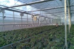 赤峰噴灌廠家電話地址查詢號碼