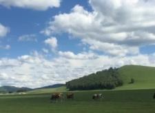 赤峰擺攤直播平臺(tái)電話(huà)地址查詢(xún)