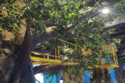 赤峰蹦蹦床樂園電話號碼多少