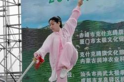 赤峰公園太極拳館電話號碼