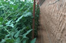 赤峰大城子街道電話號(hào)碼是多少