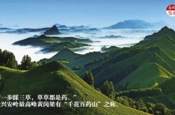 赤峰定制撲克店電話號碼查詢