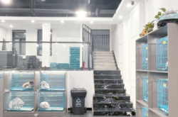 赤峰犬類(lèi)養(yǎng)殖基地