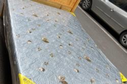 赤峰閑置實(shí)木床電話號(hào)碼查詢