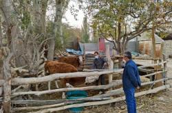 赤峰棚圈設(shè)計(jì)公司地址電話號(hào)碼