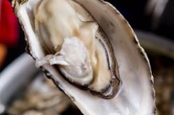 內(nèi)蒙赤峰香腸廠電話號碼多少