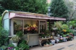 赤峰步行街美人魚電話號碼