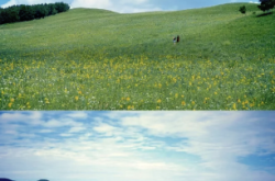 薊州區(qū)到赤峰拼車電話號碼