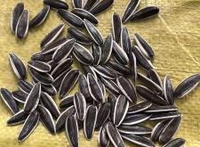 赤峰市葵瓜子批發(fā)電話號(hào)碼