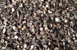 赤峰賣草蓮子的地方電話號碼