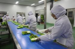 赤峰中糧主食廚房電話號(hào)碼