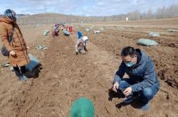 赤峰市石楠花社區(qū)電話號碼