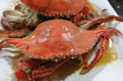 赤峰大排檔新城店電話號(hào)碼