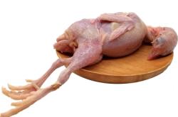 赤峰賣活鵪鶉的地方電話號(hào)碼