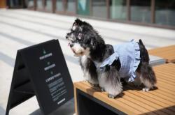 赤峰星巴克寵物店電話號碼